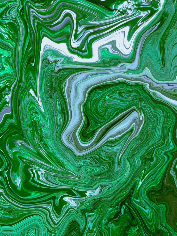 True Onion #46 | October 2025