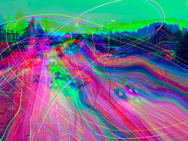 "on the back window of a silver camry" | August 2025