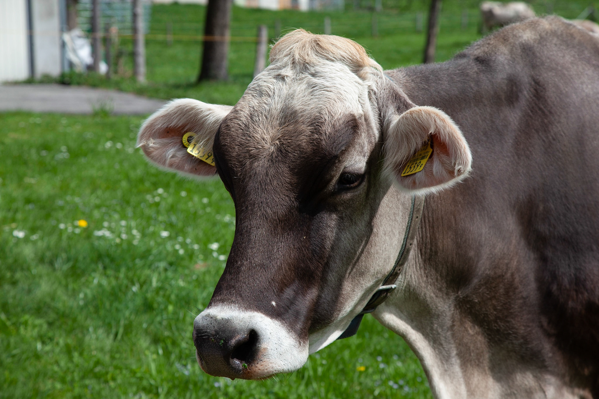 Sachseln-Flüeli-Ranft