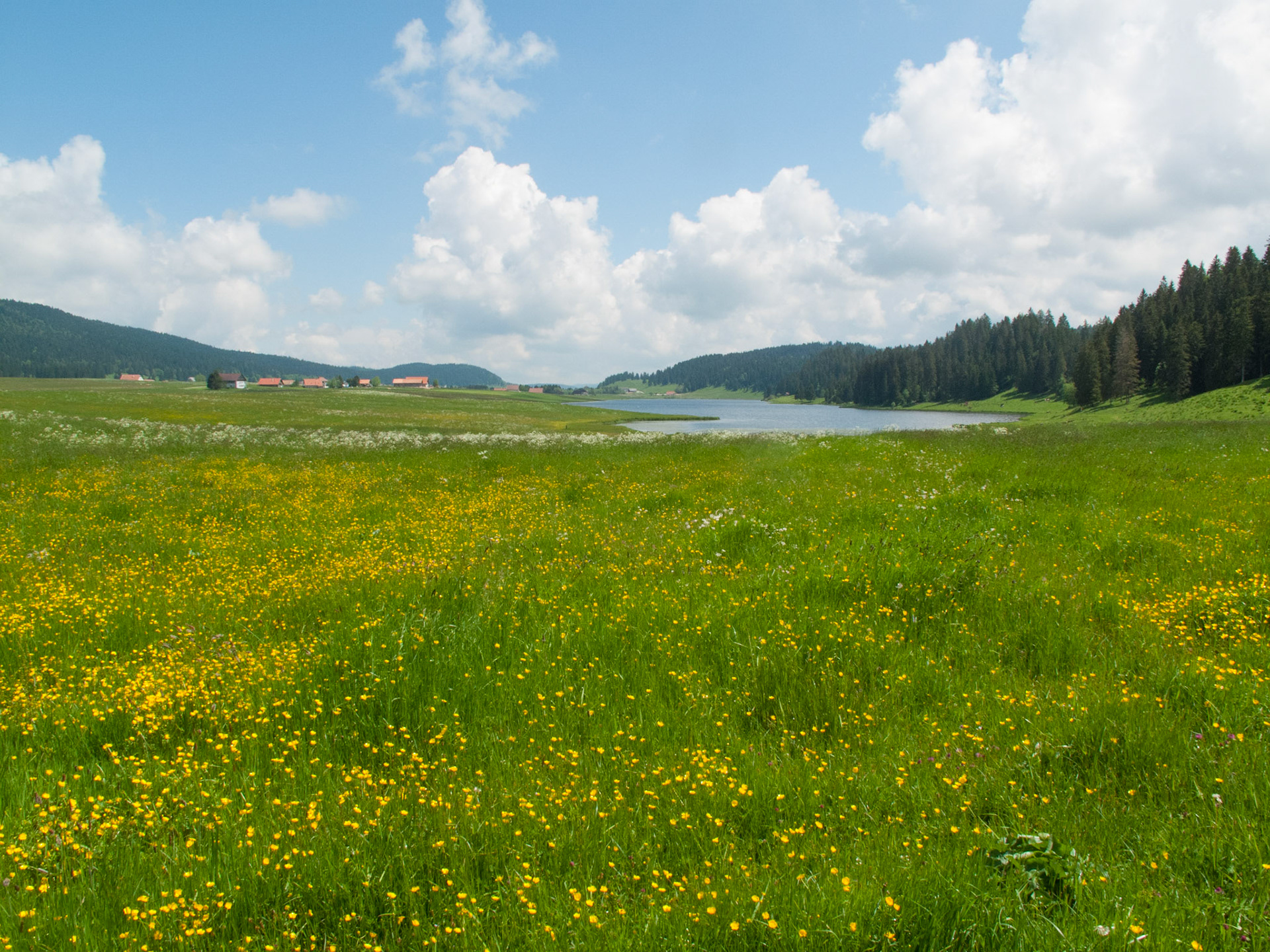 Lac des Tailières