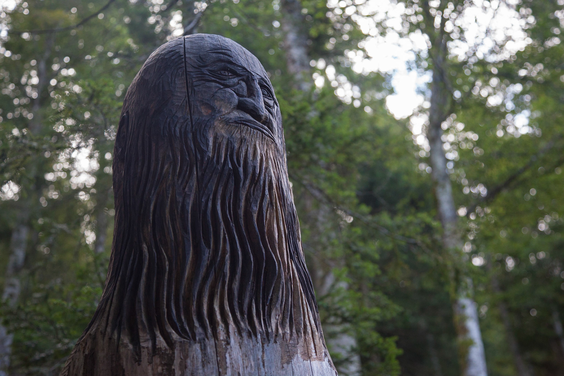 Sentier des statues