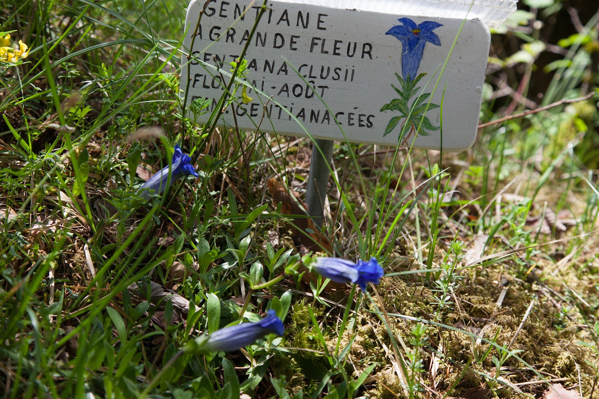 Val Terbi