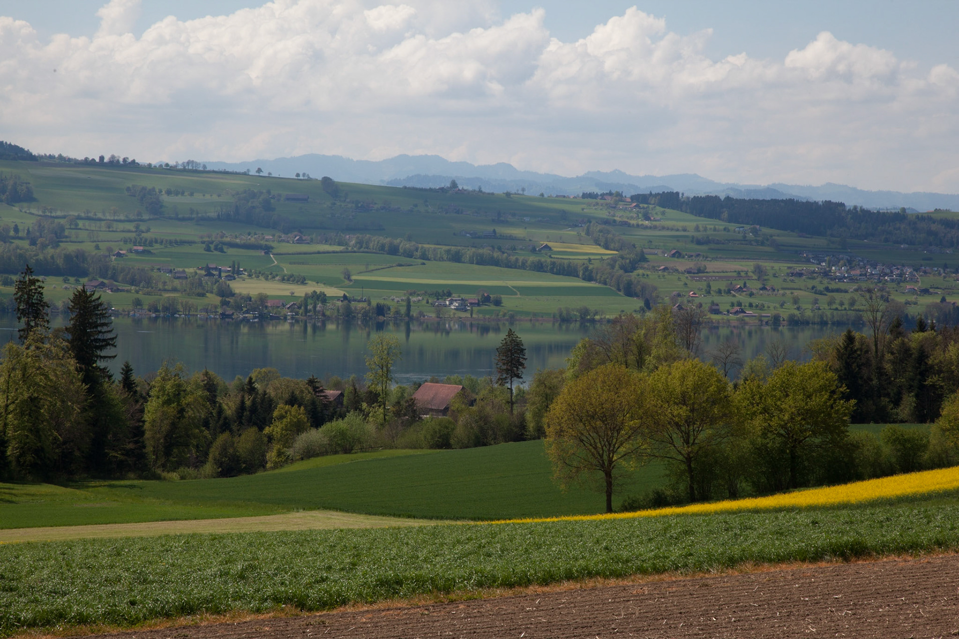 Sempach