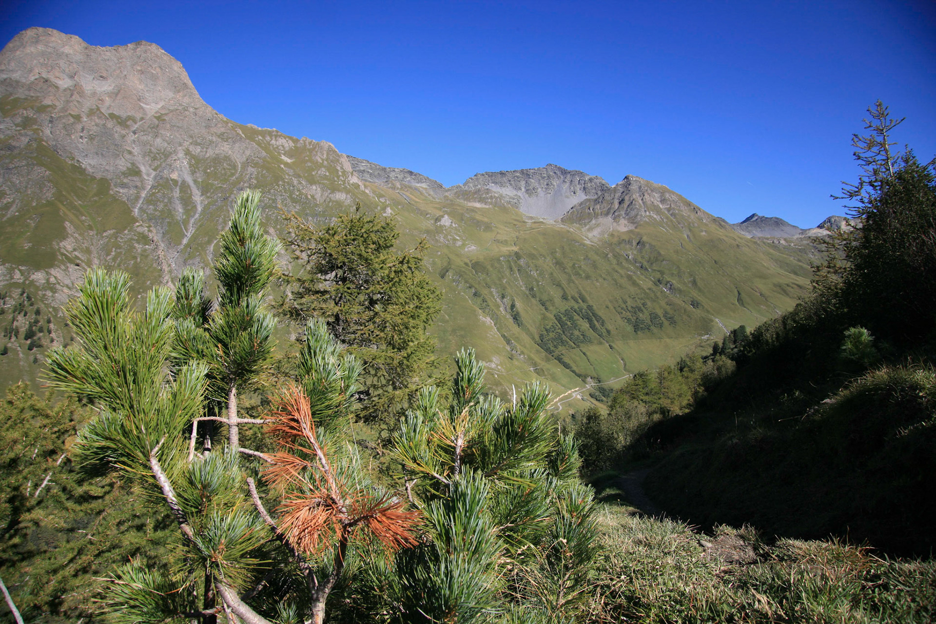 Val Ferret