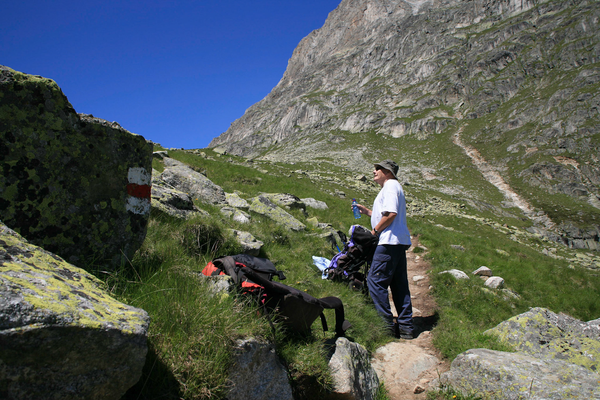 Oberaletsch