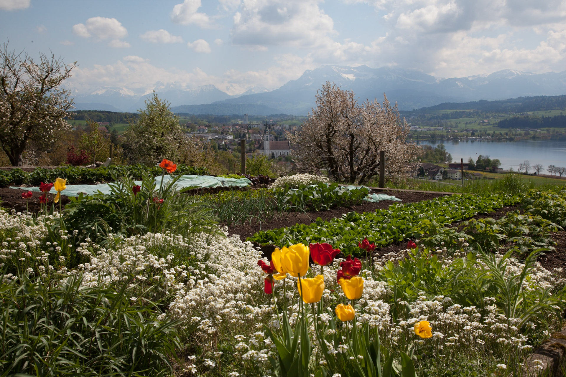 Sempach