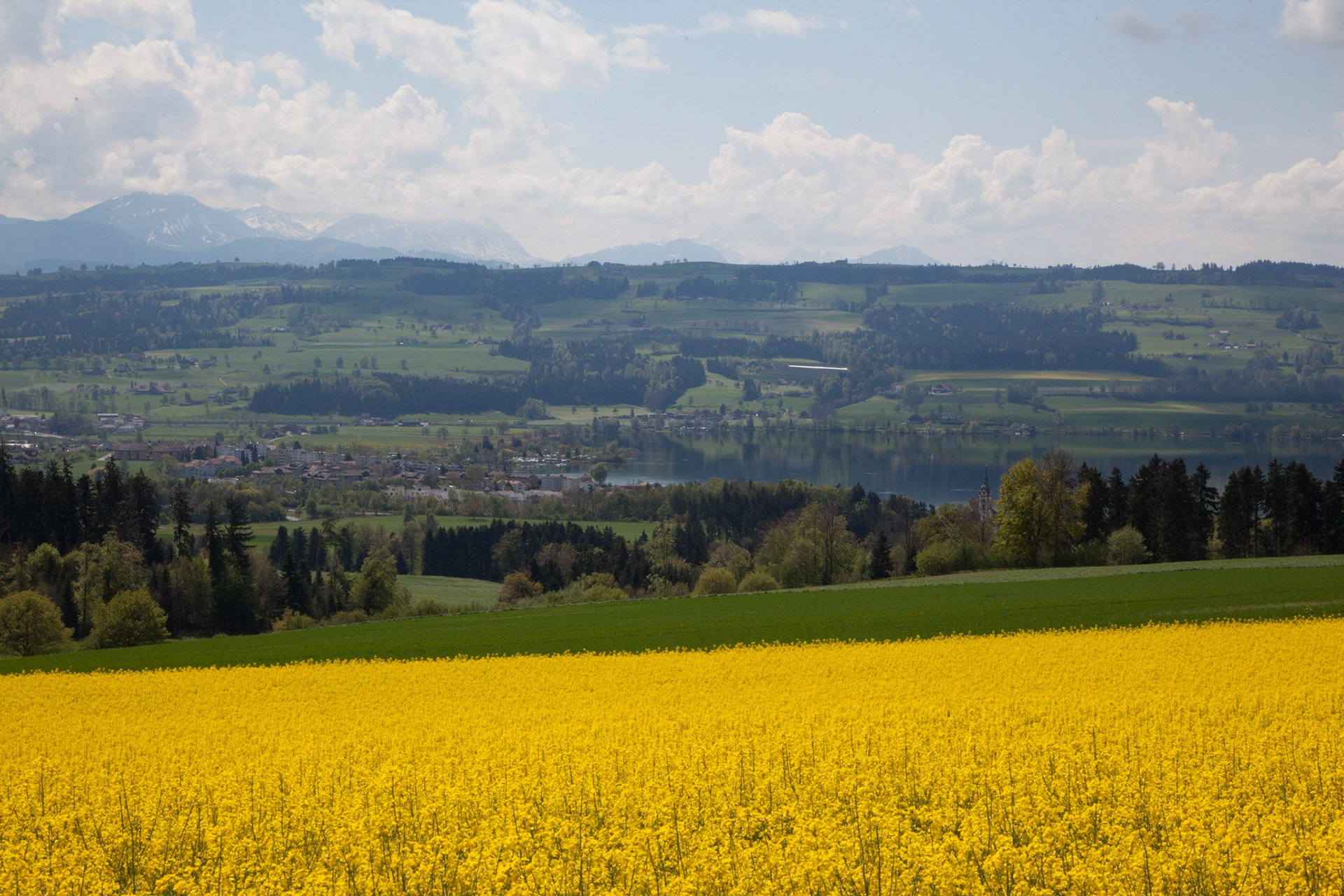 Sempach