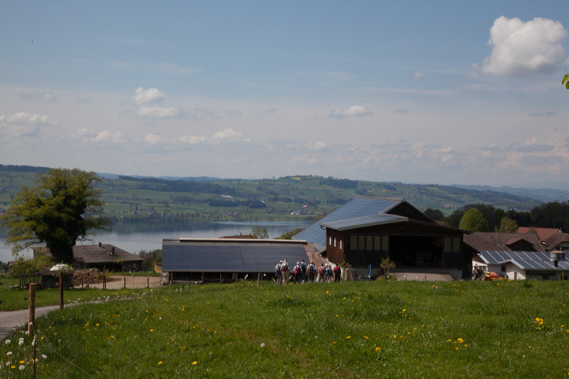 Sempach