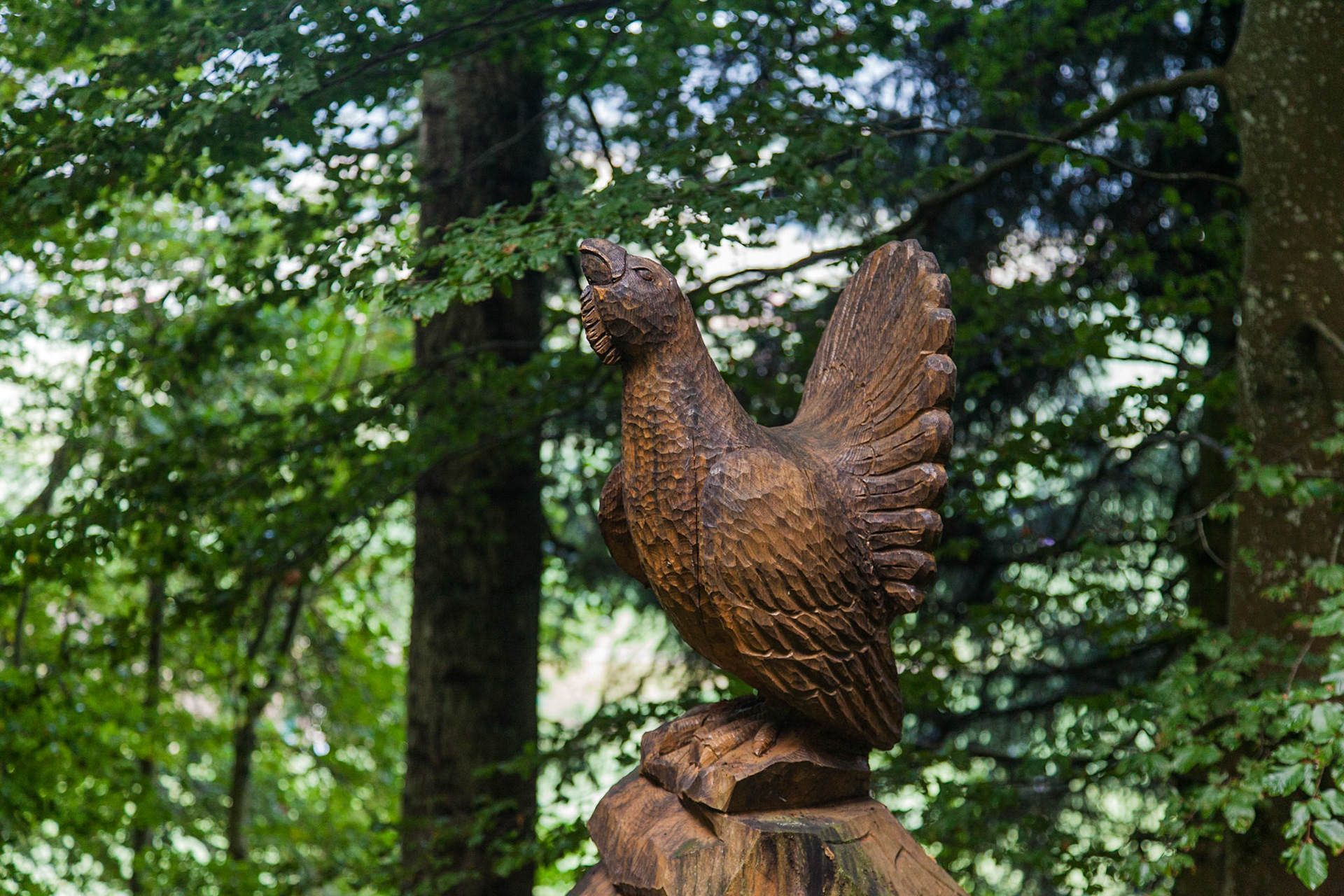 Sentier des statues