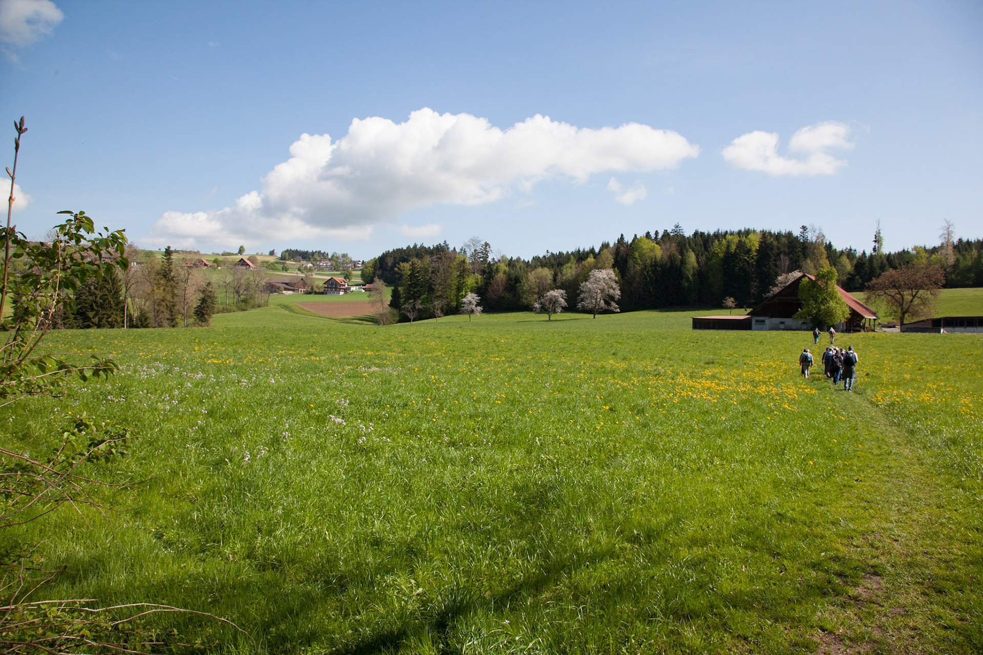 Sempach