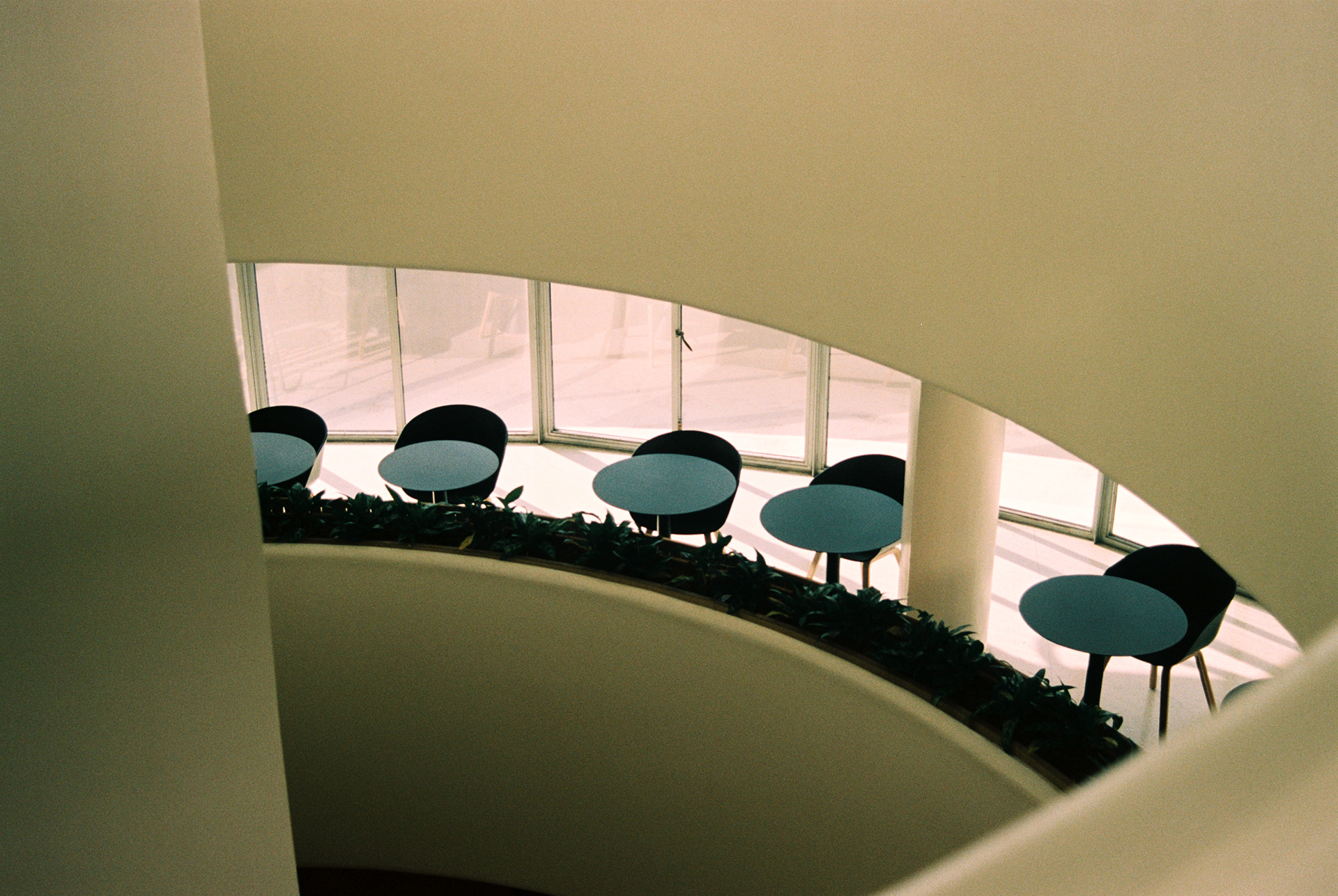 Guggenheim Museum, NYC, 2022