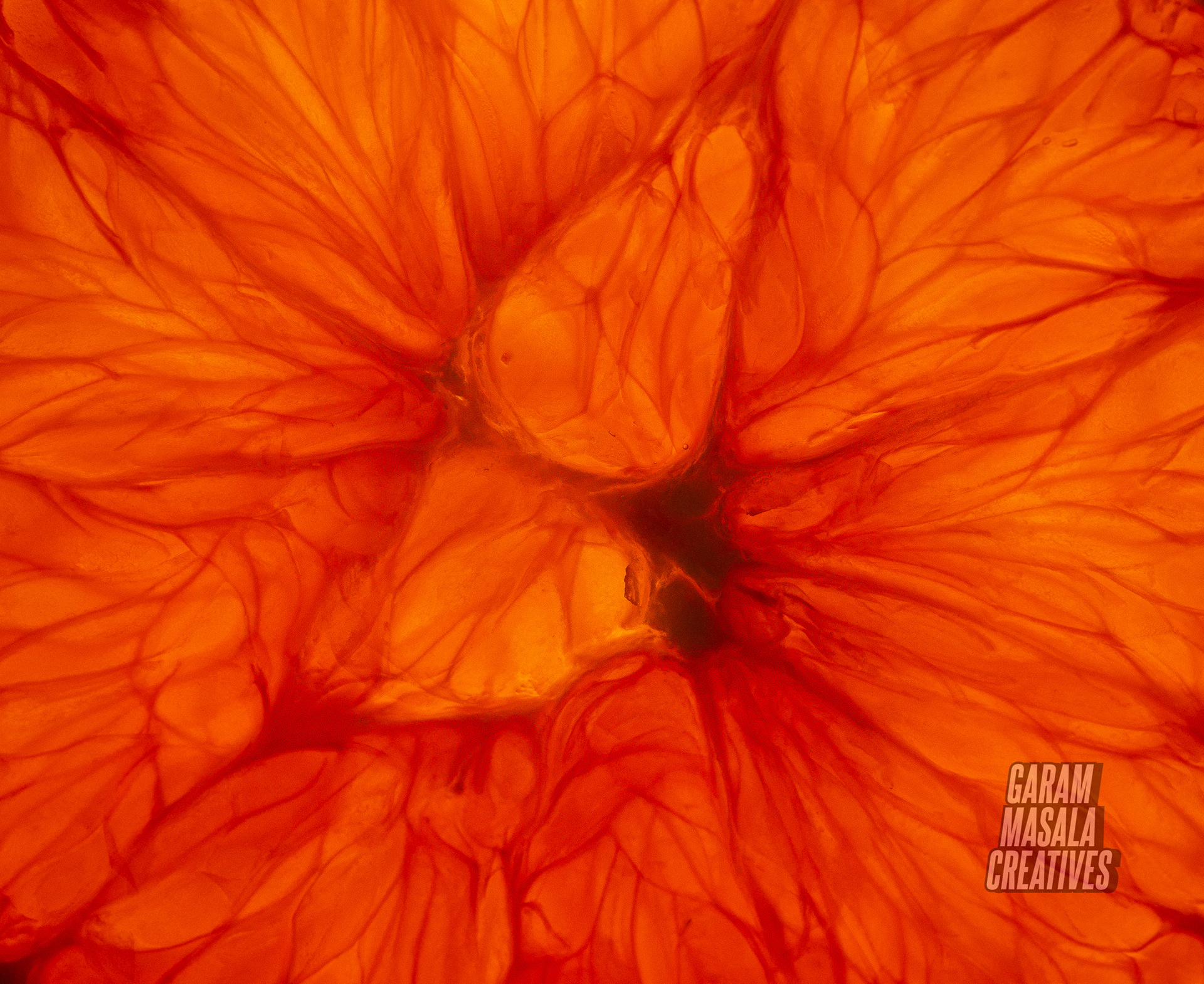 The arteries of life