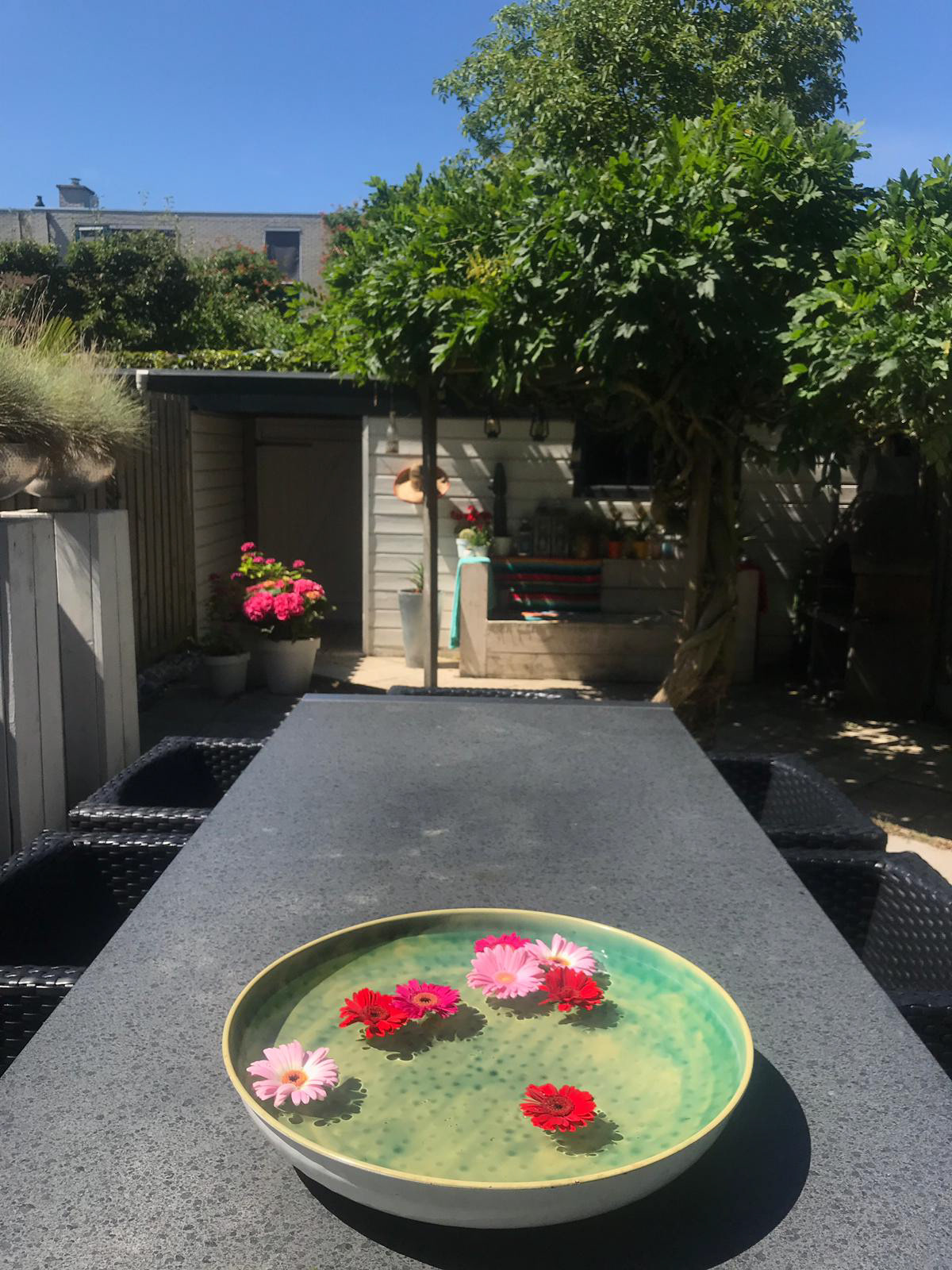 binnen tuin