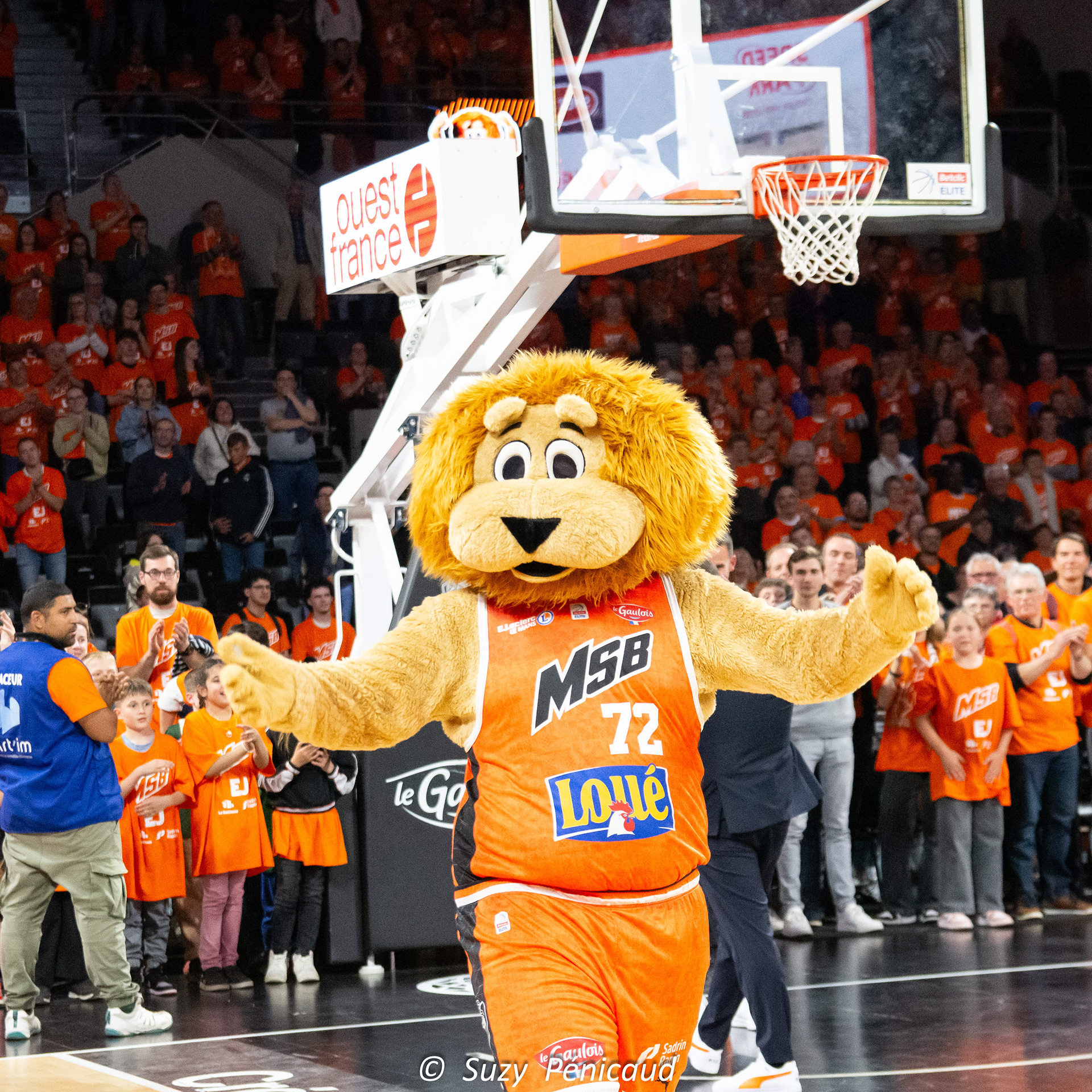 MSB/ASVEL 2024-2025