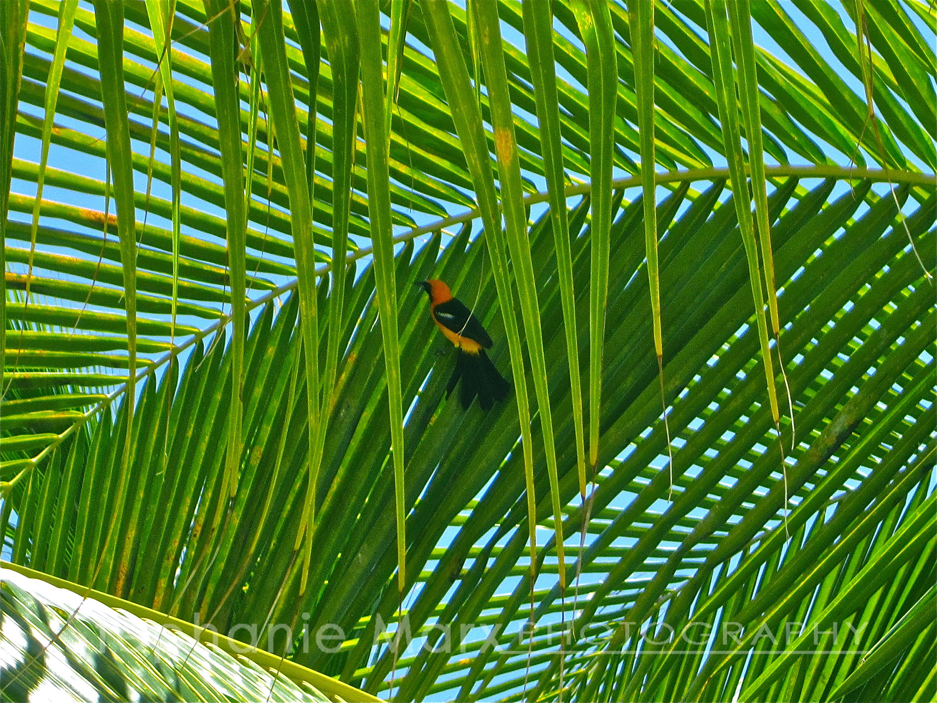 Cancún, Q.R., Mexico