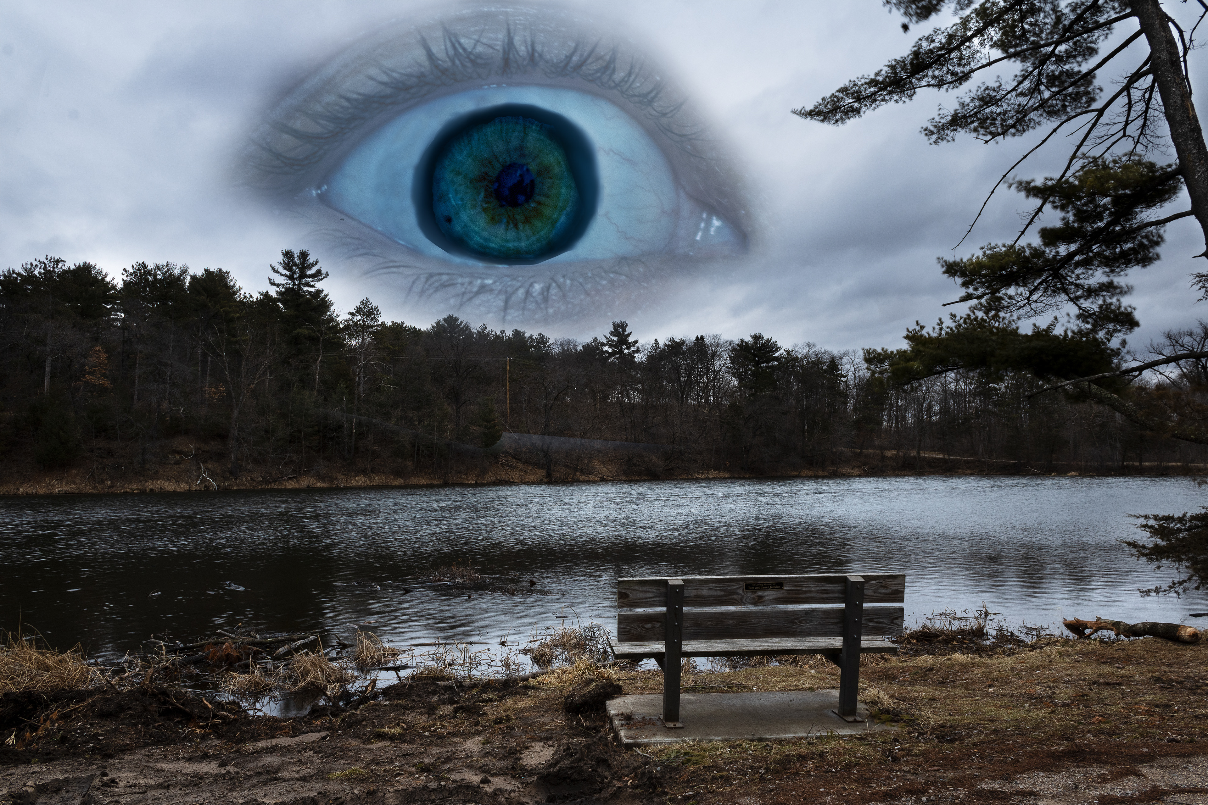 eye in the sky, 2022