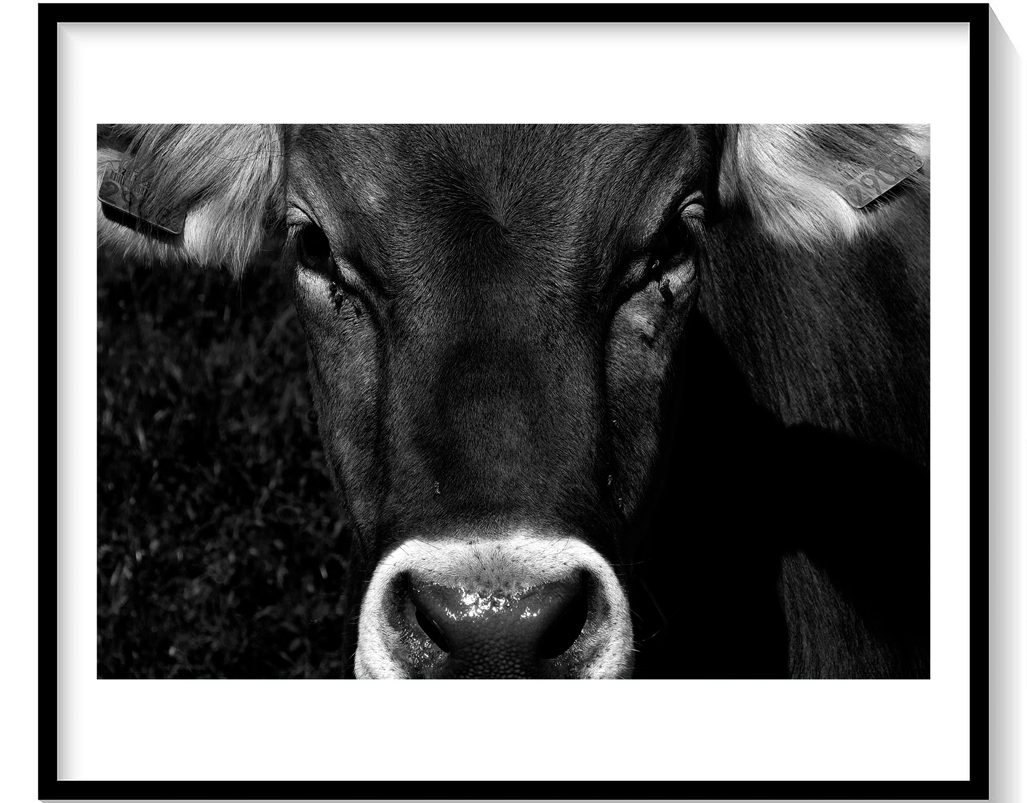 Fotogtafía de Belypaainting en Córdoba - Alicia Cow Photography