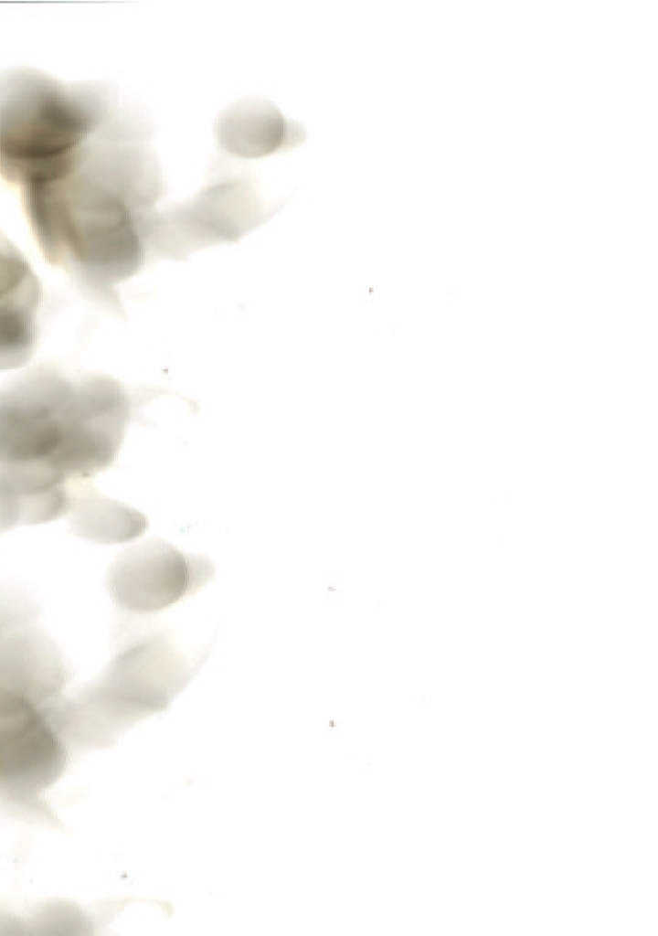 Quatrième de Couverture
