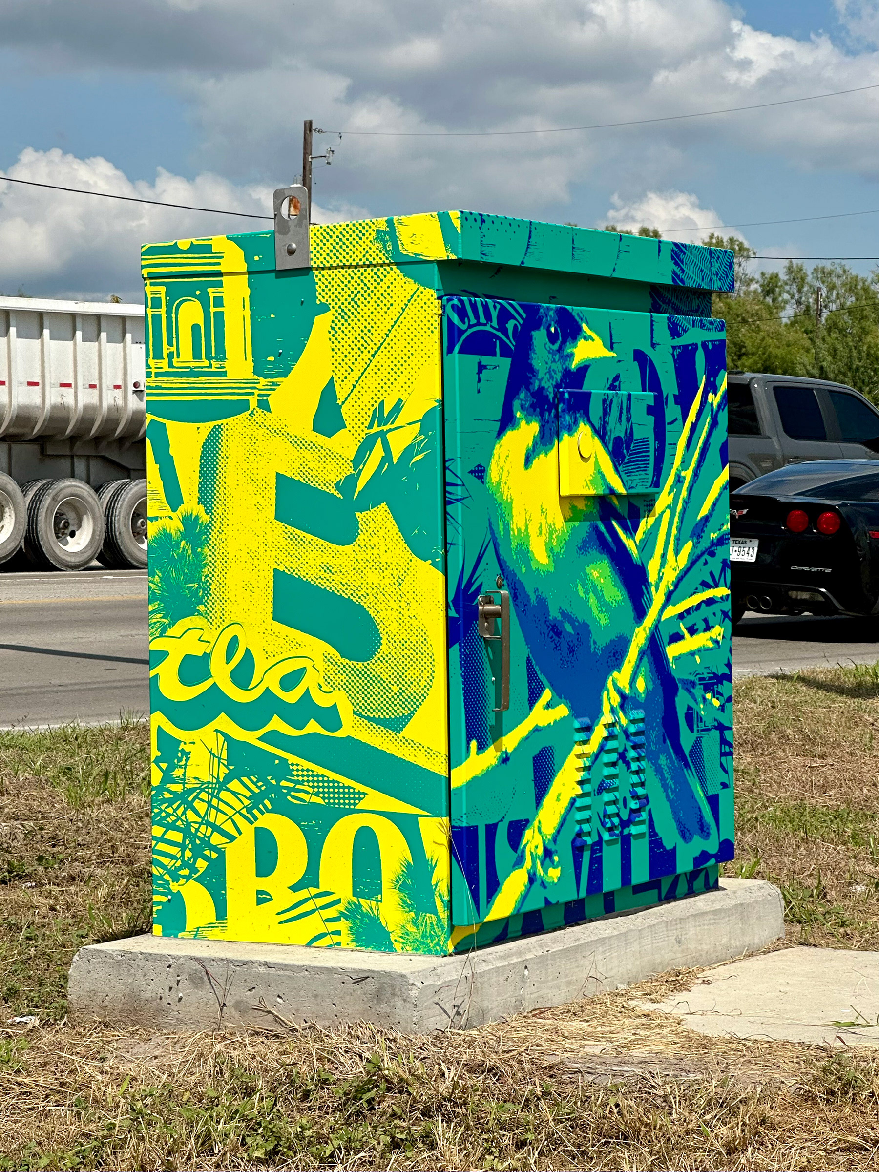 A photo of a vinyl-wrapped traffic utility box. The artwork celebrates local birds, foliage, and sign fabrication