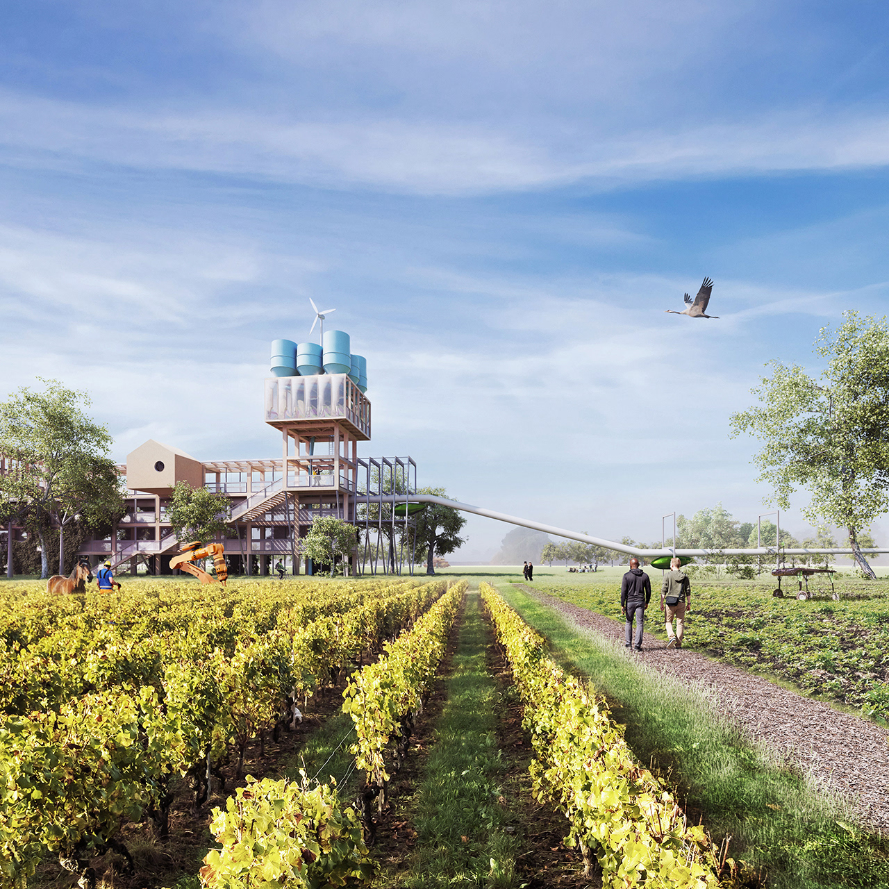 2051 | LES VIGNES DU DOMAINE DES TOURS