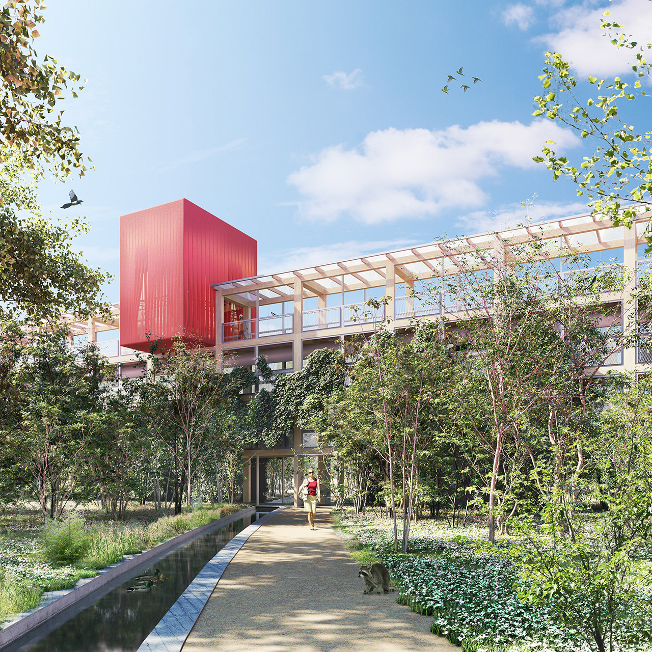 2051 | LA PROMENADE DES TOURS