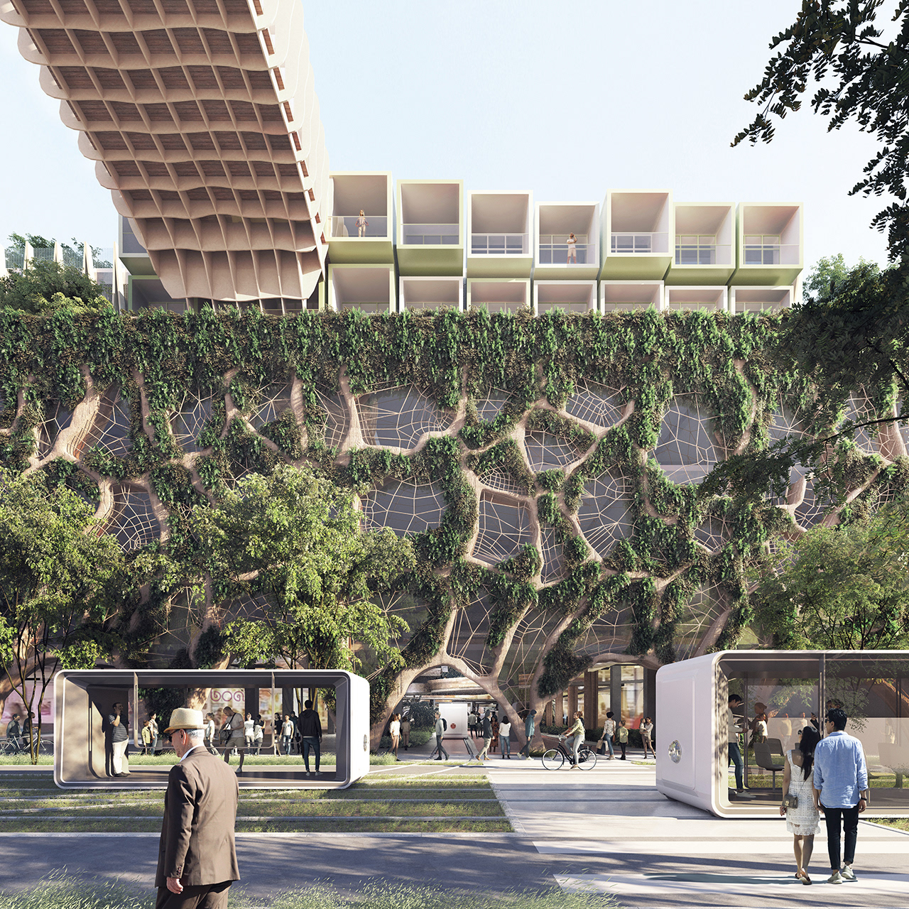 2051 | LE BOA VU DEPUIS LA RUE NATIONALE