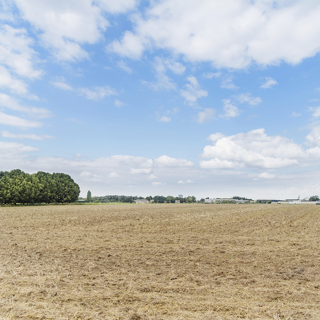 2021 | LES CHAMPS DE LA RUE JULES FERRY