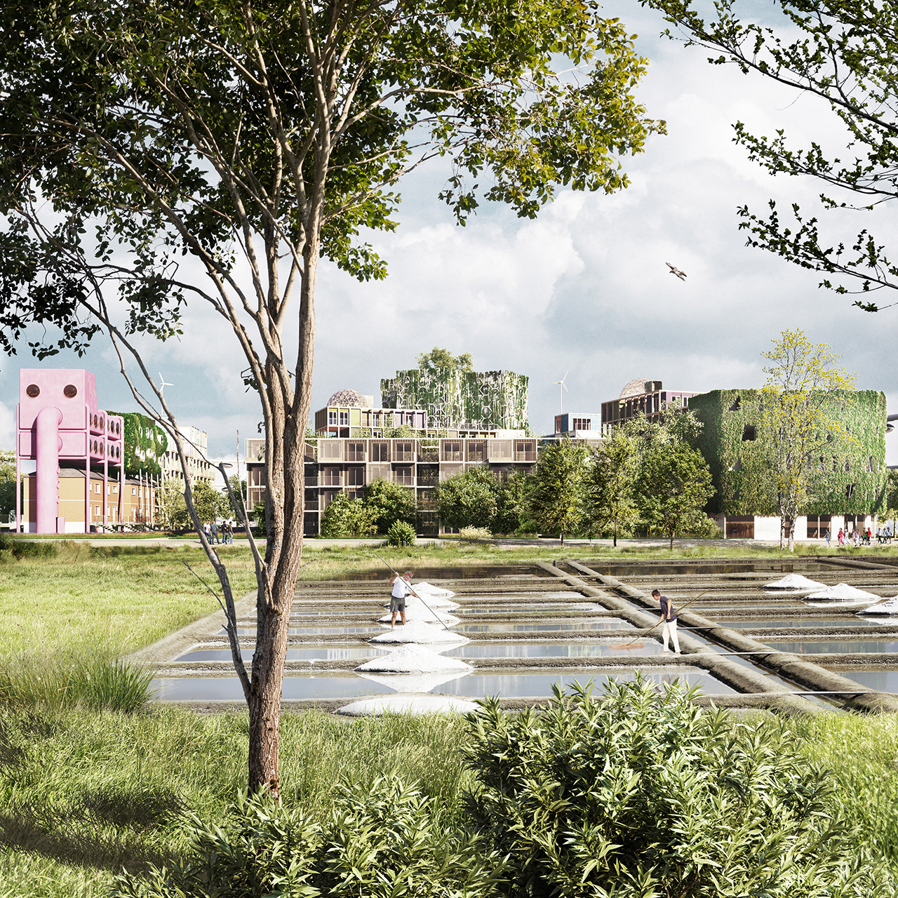 2051 | LES MARAIS SALANTS DE WEZ-MACQUART