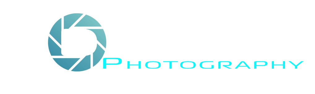 Darn Photography