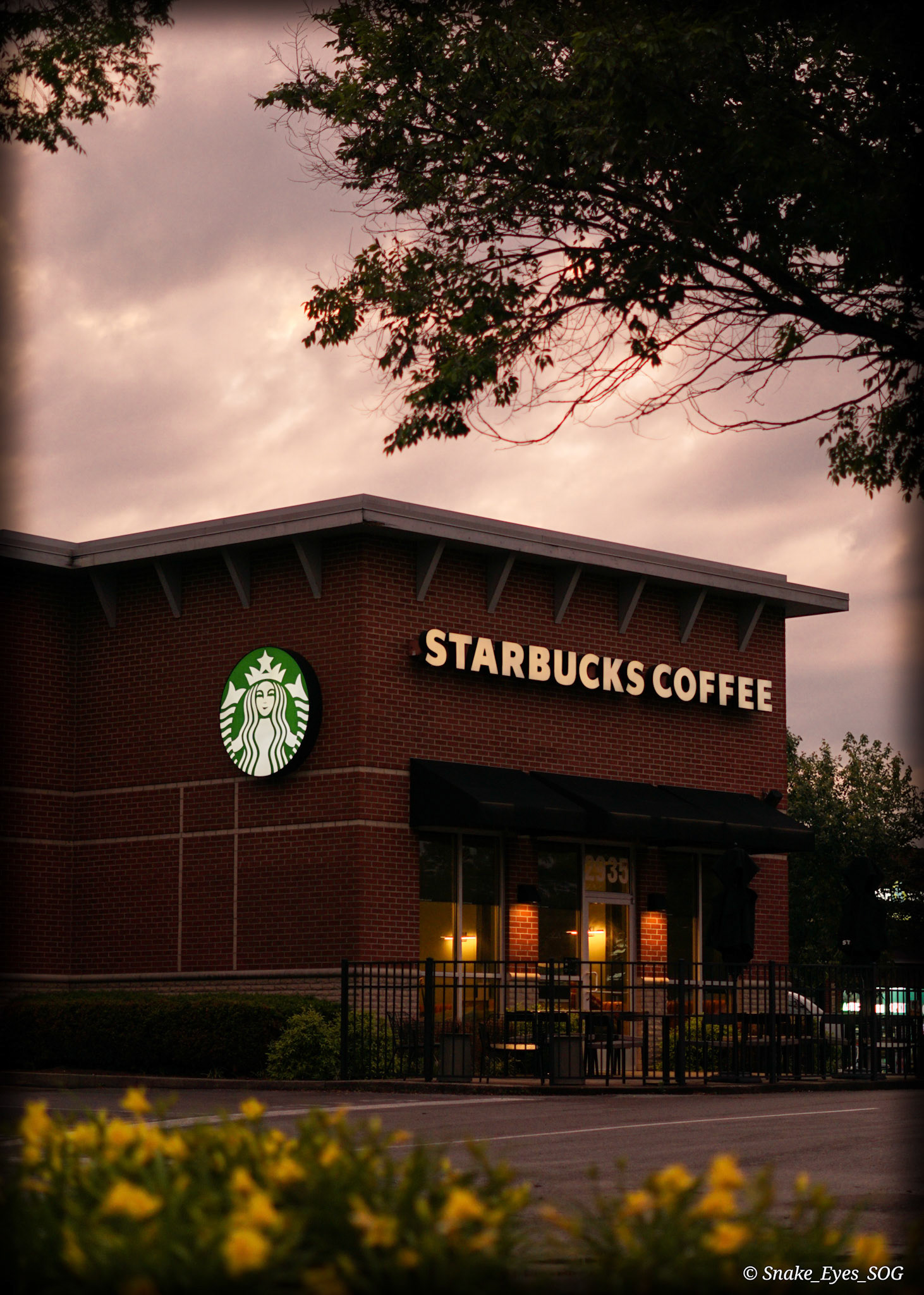 Starbucks Murfreesboro Rutherford