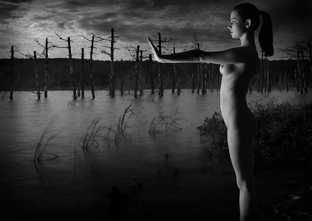 "Subsista" from "Dreamworld" solo exhibition in PG Art Gallery