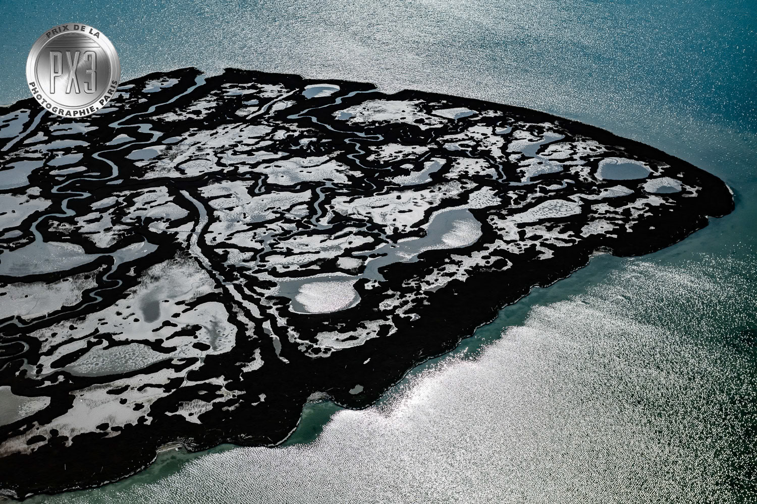 "Lonely Planet" from "Untamed" solo exhibition at Gallery Işık