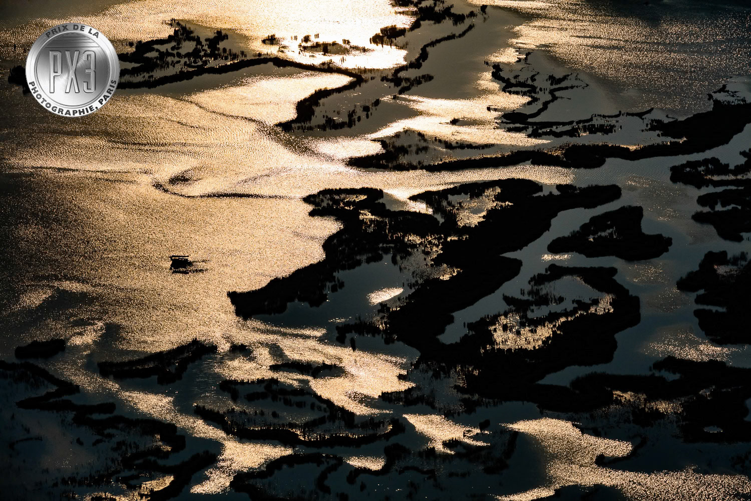 "Shimmer" from "Untamed" solo exhibition at Gallery Işık