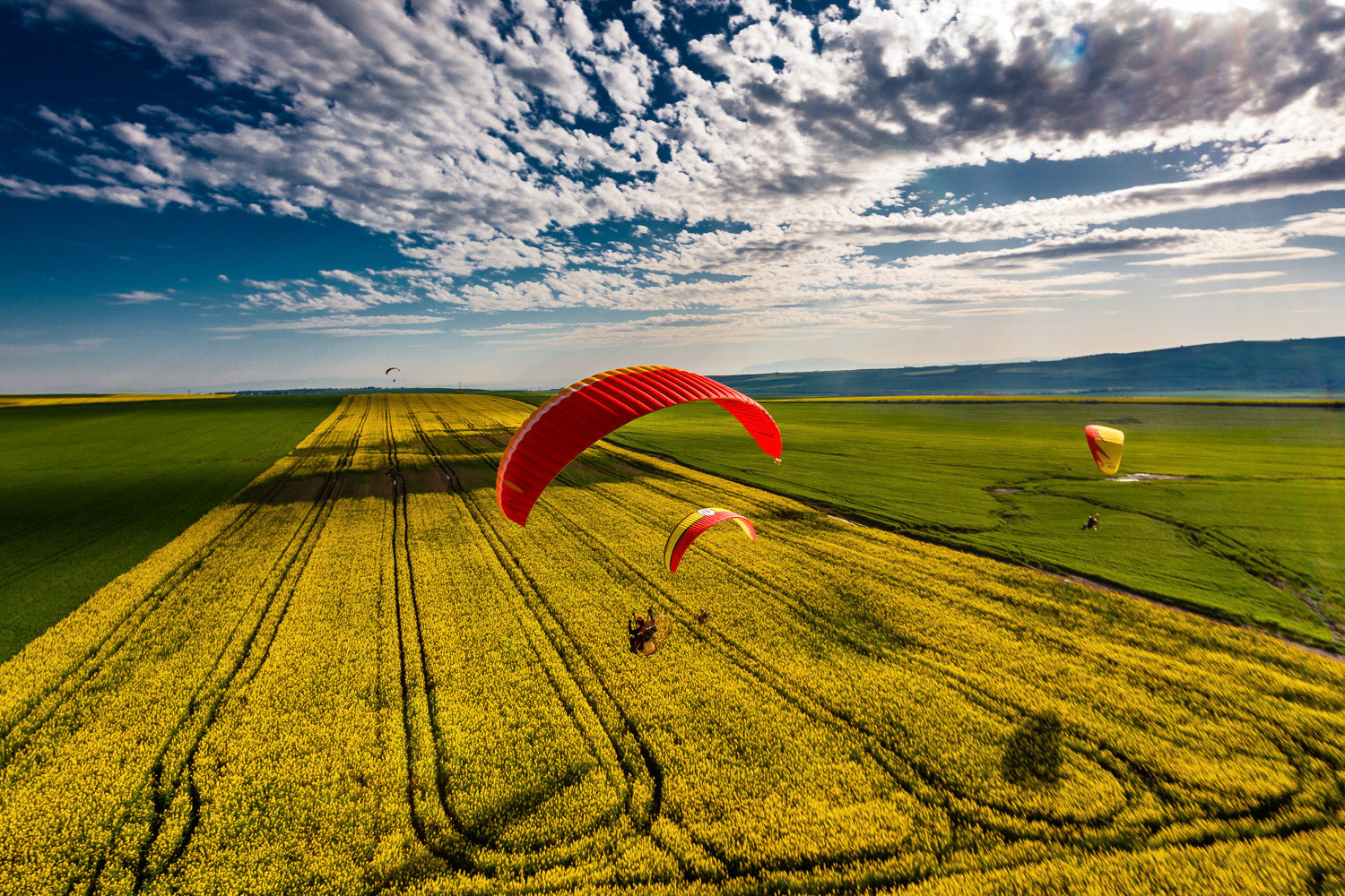 Canola Fields, Tekirdag, Turkey
