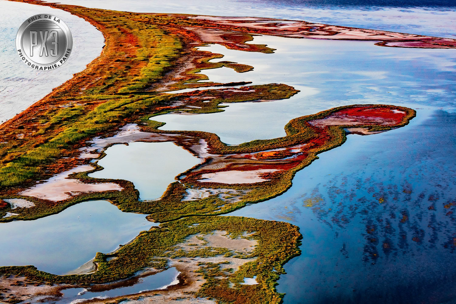 "Flow" from "Untamed" solo exhibition at Gallery Işık