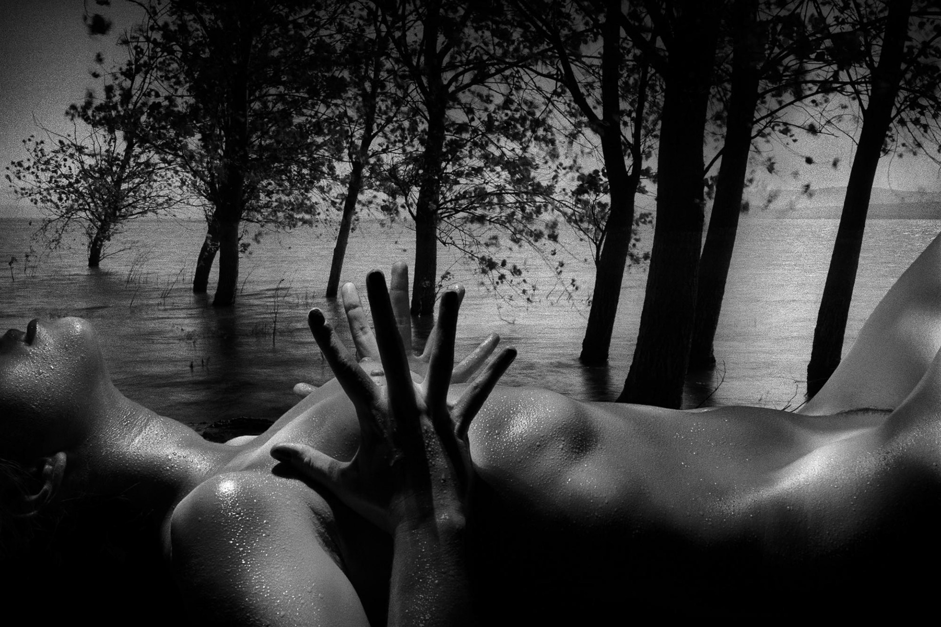 "Carpe me!" from "Dreamworld" solo exhibition at PG Art Gallery