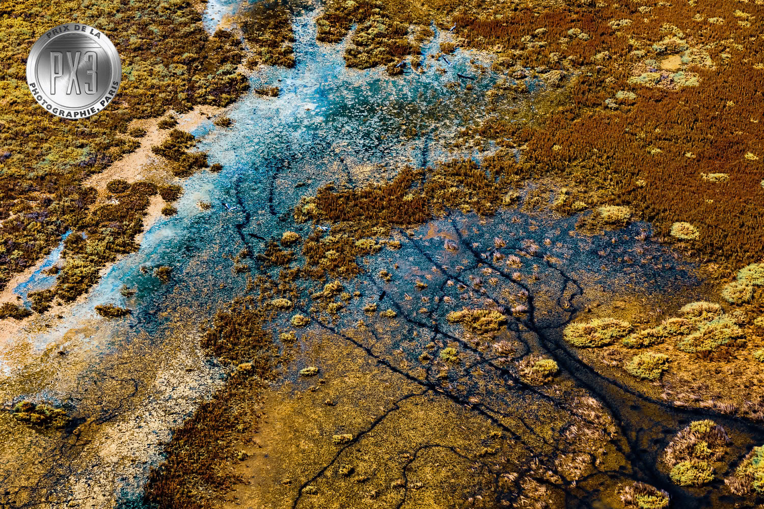 "Hidden Forest" from "Untamed" solo exhibition at Gallery Işık