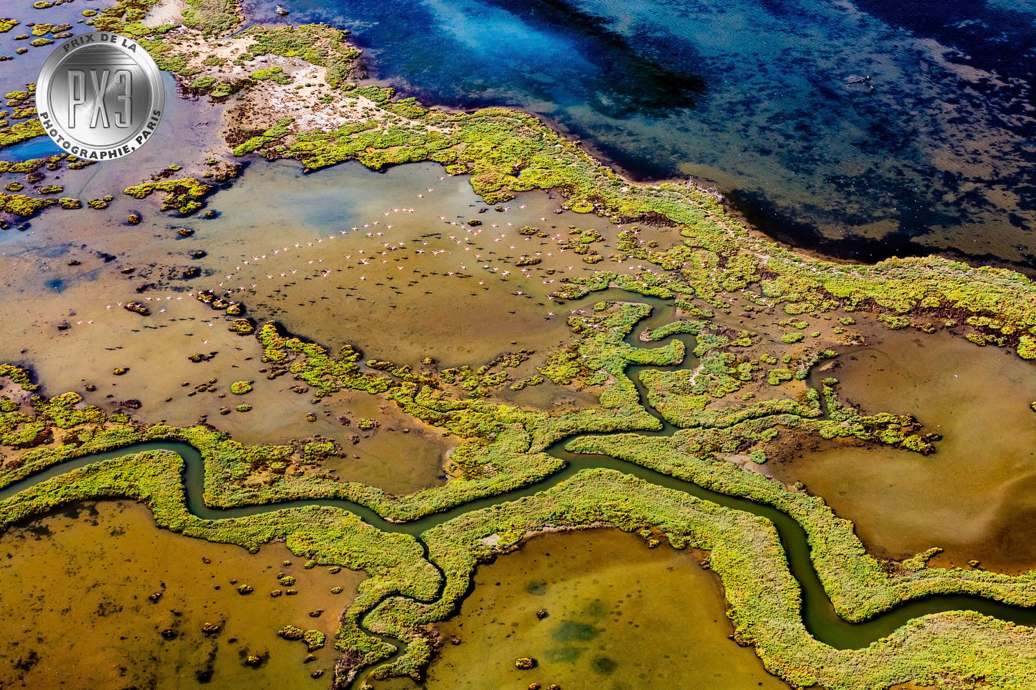 "Oasis" from "Untamed" solo exhibition at Gallery Işık