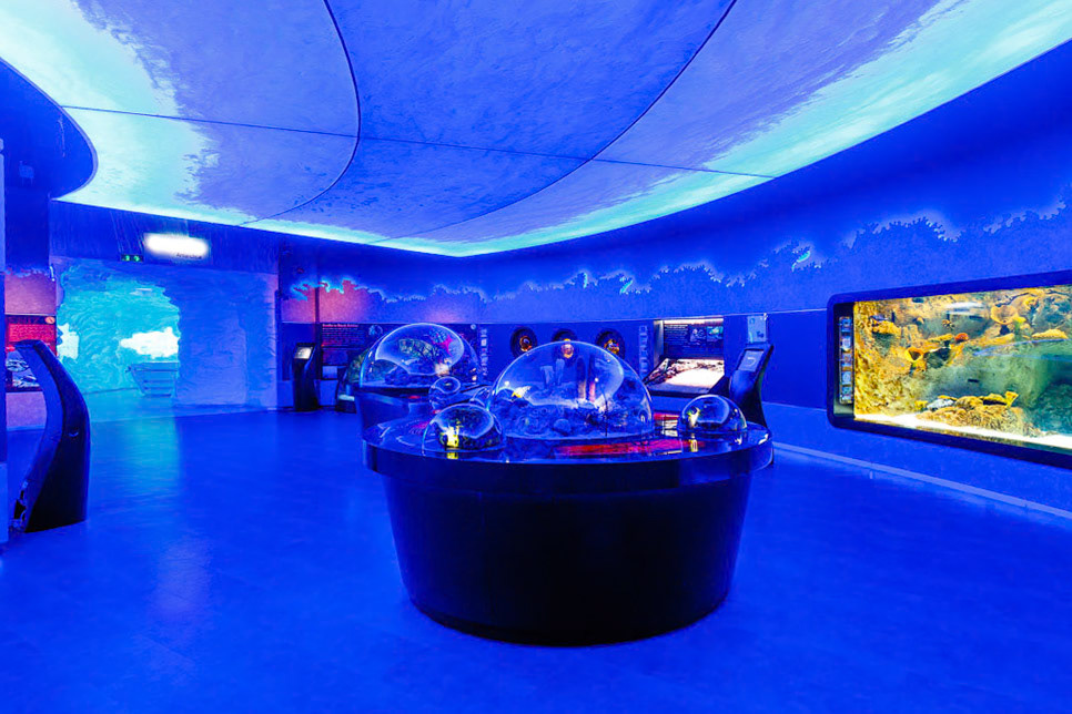 Istanbul Aquarium