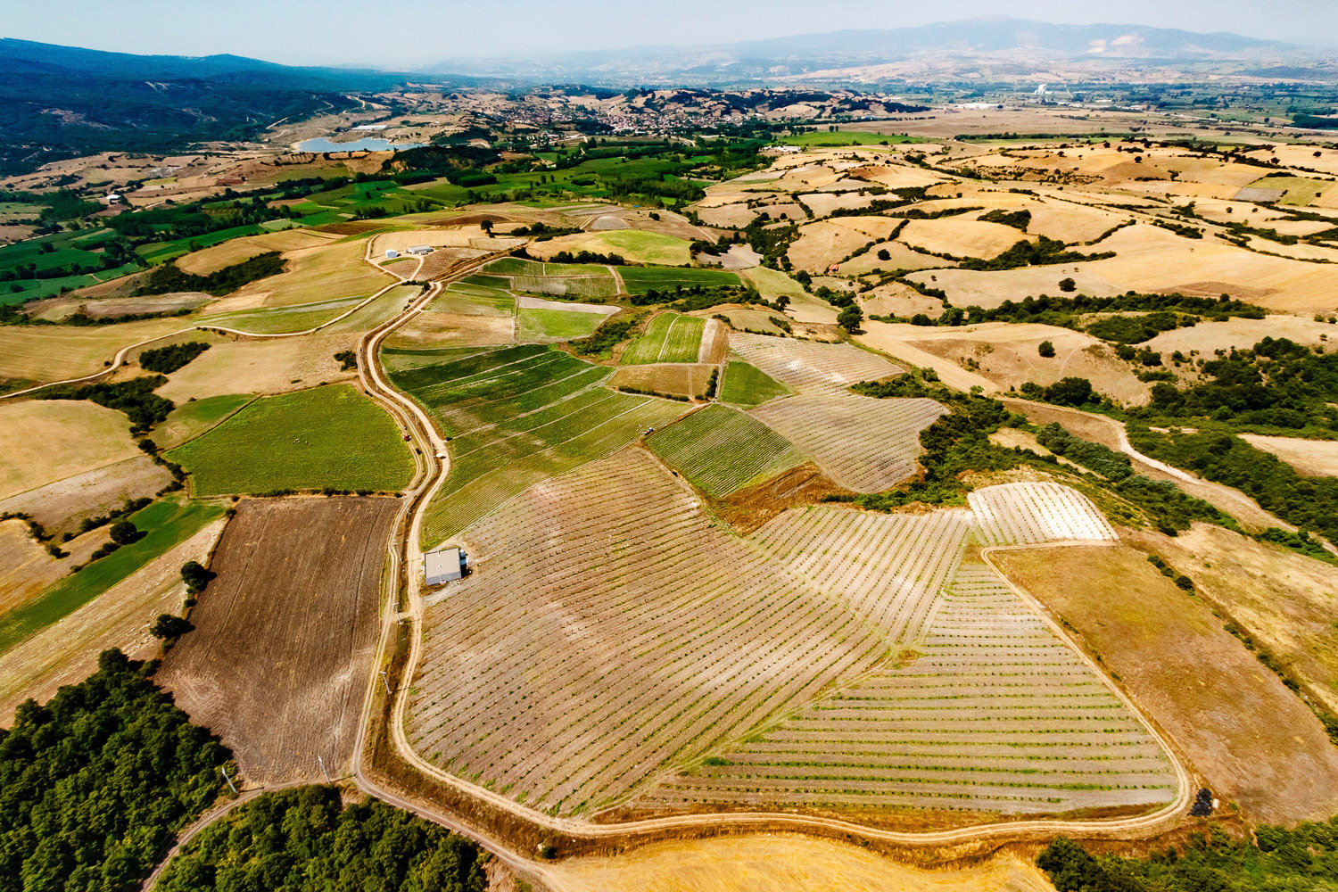 Aslanoba Organic Farms aerial