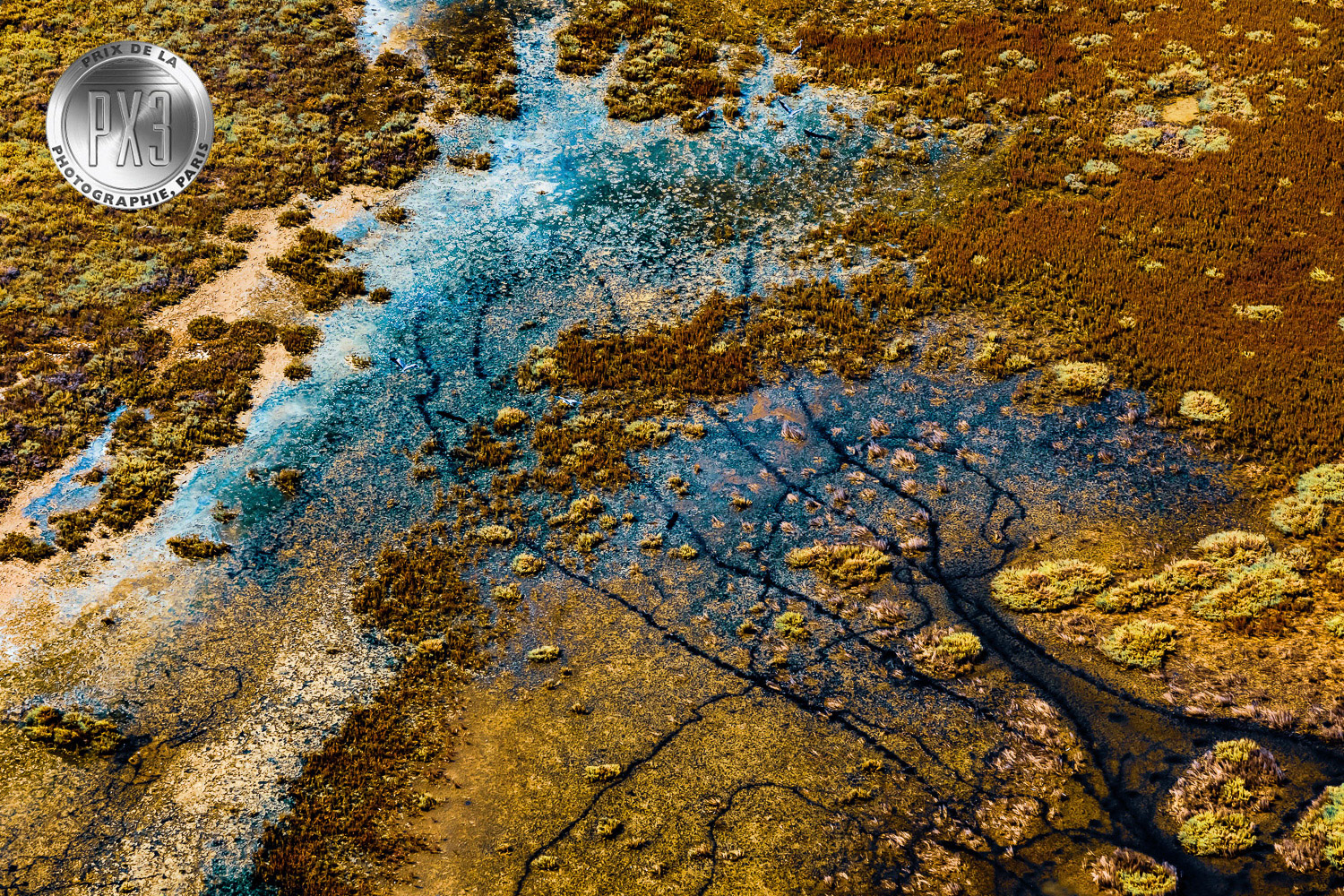 "Hidden Forest" from "Untamed" solo exhibition in Gallery Işık