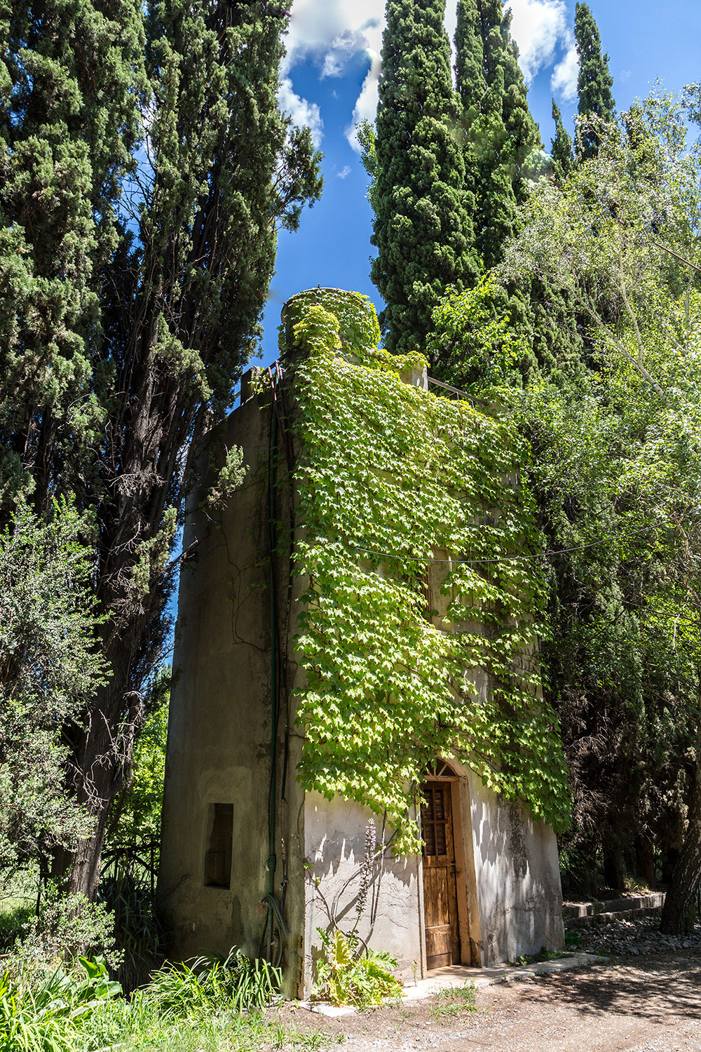 Nuestra antigua torre, en verano...