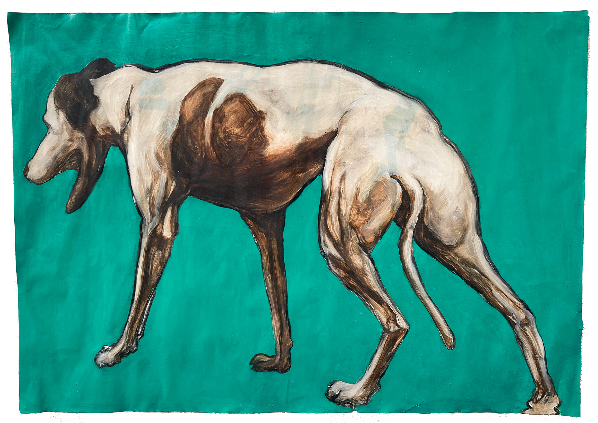 Sighthound I