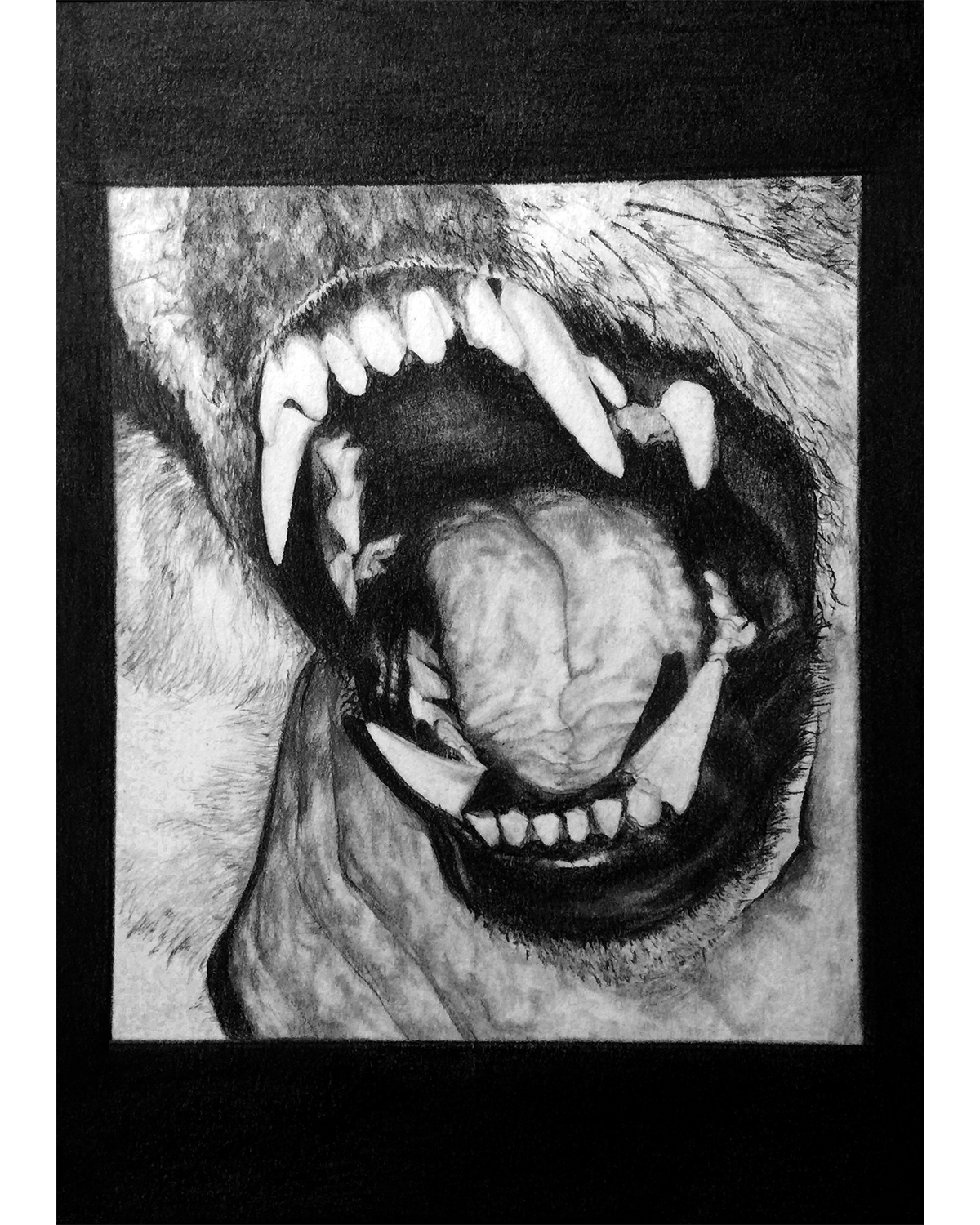 Little Fangs, Bare Skin - Unavailable