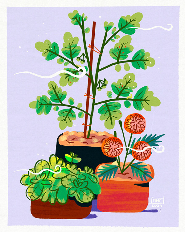 Container Pot Gardening