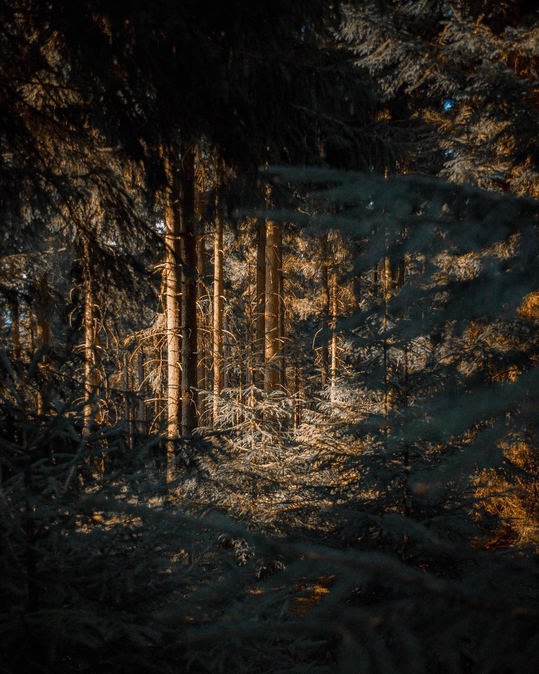 jvision-foto-jakub-klisowski-33