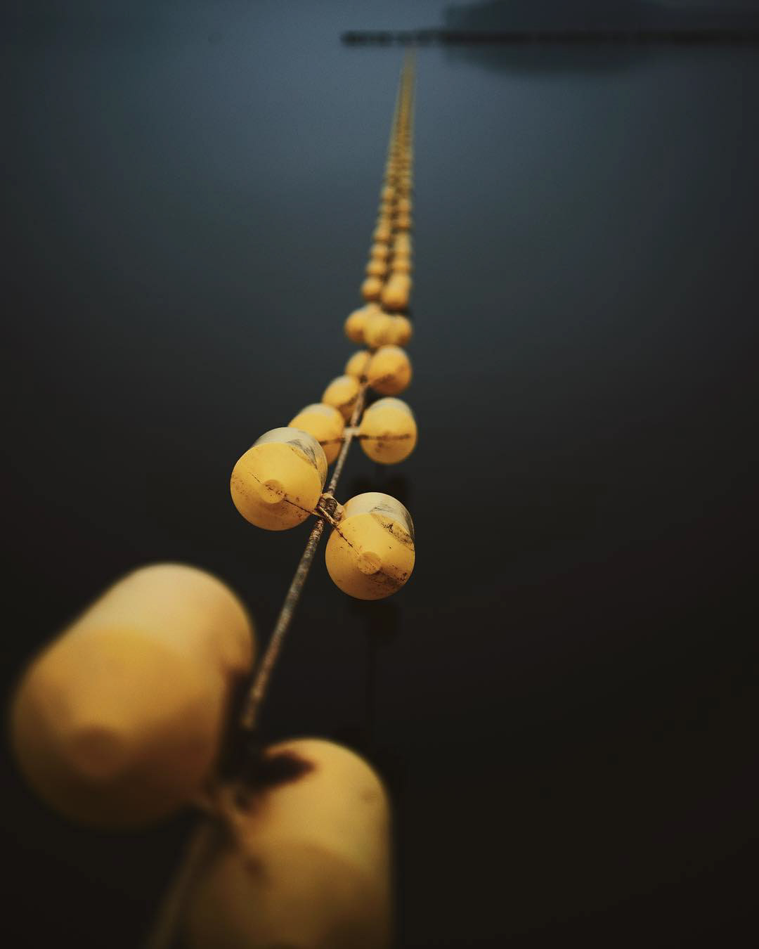 jvision-foto-jakub-klisowski-32