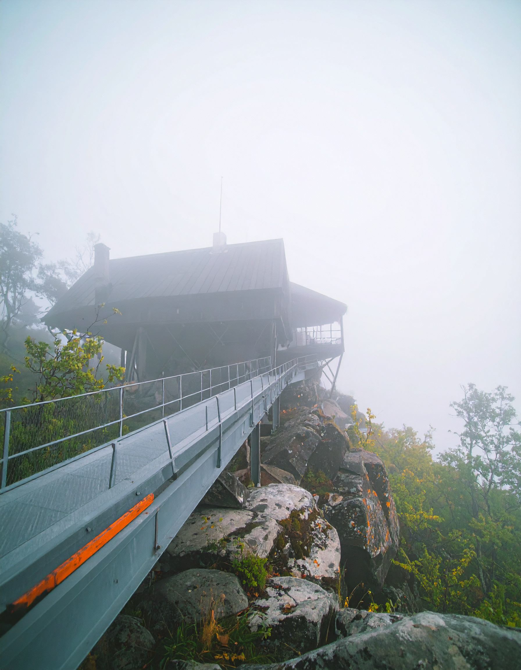 Wsparcie AI w projektowaniu graficznym - Jvision.pl