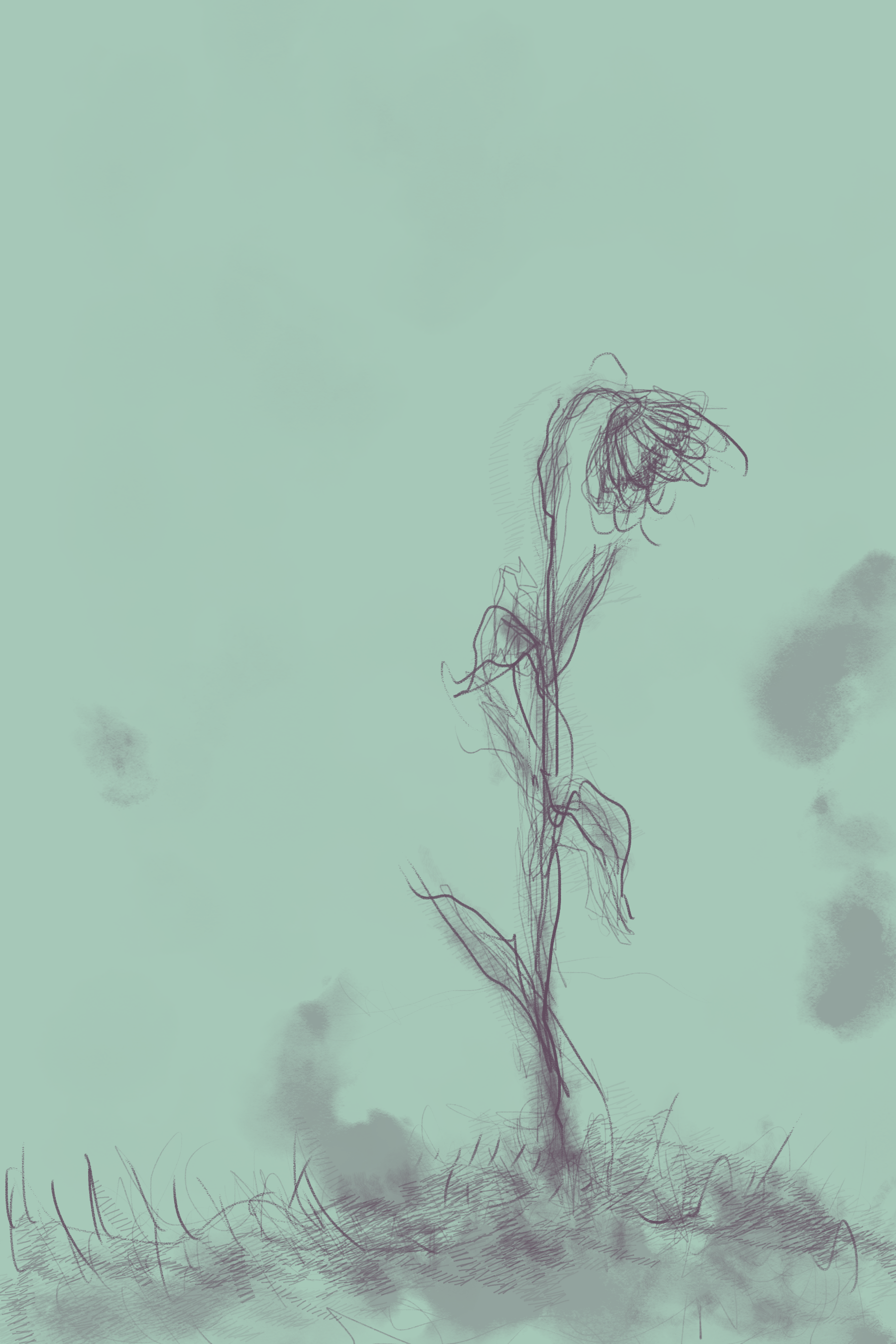 At this point in the novel a character's death is revealed and this illustration represents the feeling of loneliness and emptiness that is felt by the main character. It also alludes to where this missing characters body has been buried.