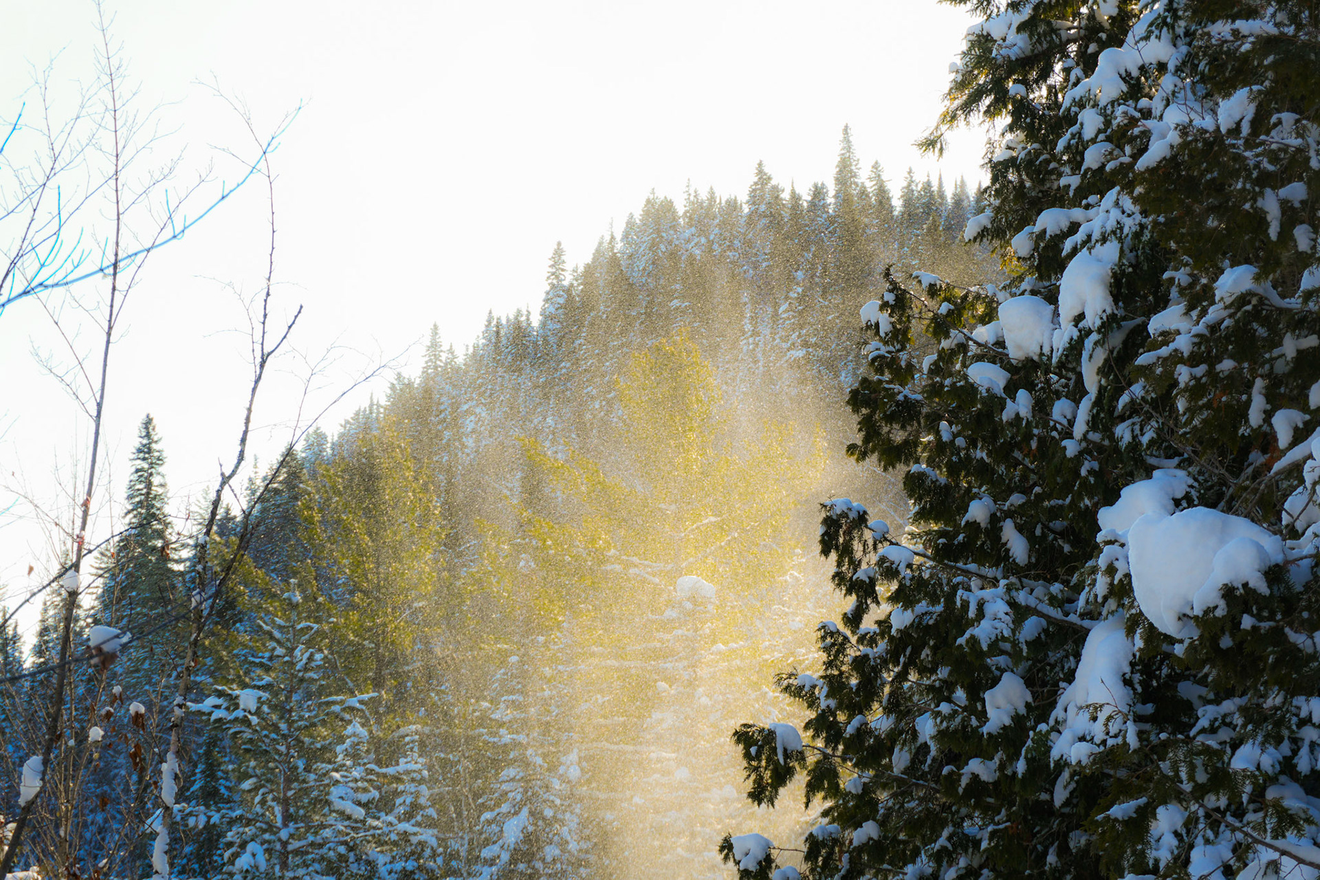 Parc régional des Sept-Chutes